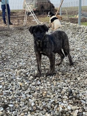 WhatsApp Image 2026 01 29 at 12.57.55.