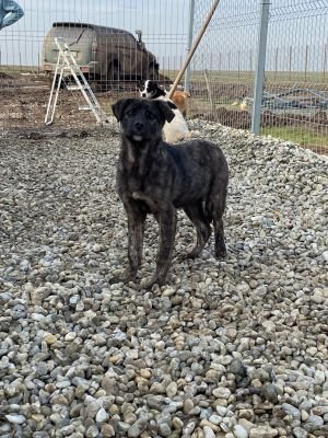 WhatsApp Image 2026 01 29 at 12.57.55,