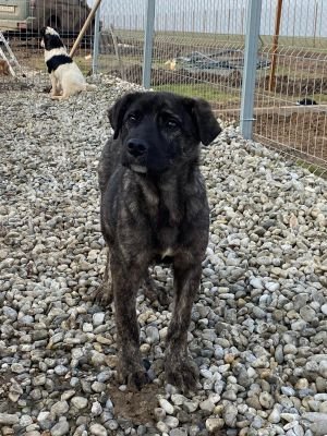 WhatsApp Image 2026 01 29 at 12.57.56a