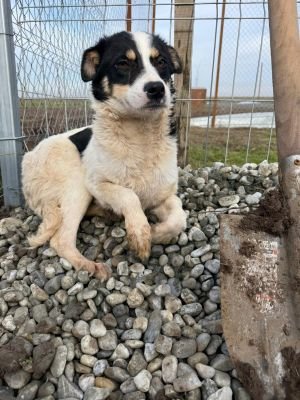 WhatsApp Image 2026 01 29 at 13.00.22