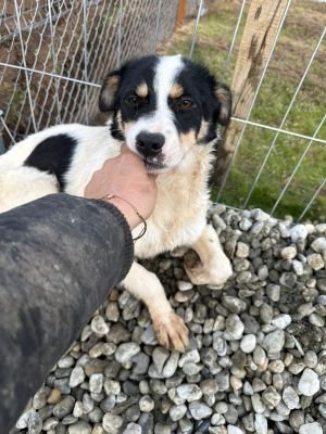 WhatsApp Image 2026 01 29 at 13.00.24.