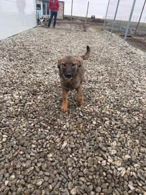 WhatsApp Image 2026 01 30 at 11.52.34 (1)