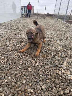 WhatsApp Image 2026 01 30 at 11.52.34