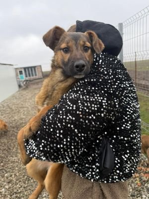 WhatsApp Image 2026 01 30 at 11.57.36