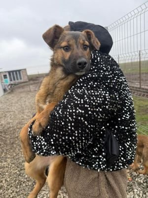 WhatsApp Image 2026 01 30 at 11.57.36a