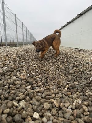 WhatsApp Image 2026 01 30 at 11.57.55a