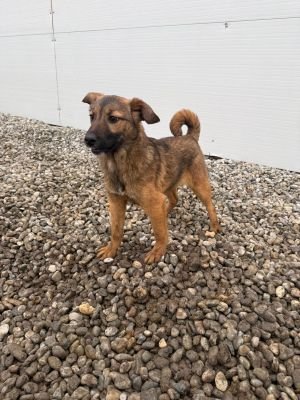 WhatsApp Image 2026 01 30 at 11.57.55s