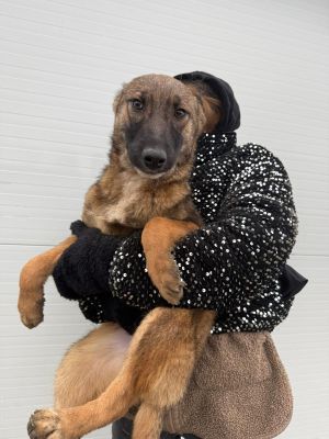 WhatsApp Image 2026 01 30 at 12.01.04 (1)