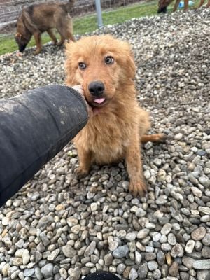 WhatsApp Image 2026 01 30 at 12.04.36a