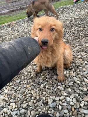 WhatsApp Image 2026 01 30 at 12.04.37.