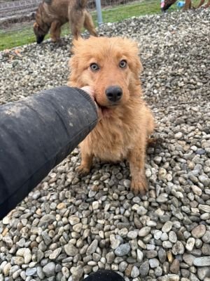 WhatsApp Image 2026 01 30 at 12.04.37