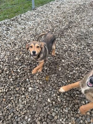 WhatsApp Image 2026 01 30 at 12.30.59.