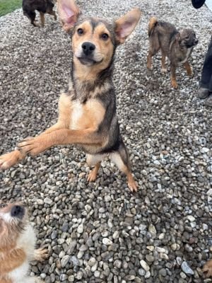 WhatsApp Image 2026 01 30 at 12.30.59a