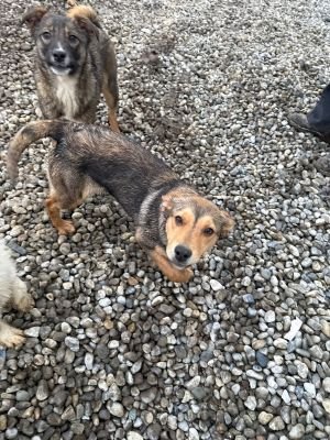 WhatsApp Image 2026 01 30 at 12.31.01