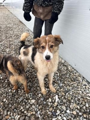 WhatsApp Image 2026 01 30 at 12.31.58