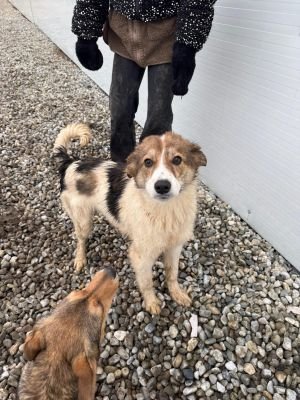 WhatsApp Image 2026 01 30 at 12.32.01