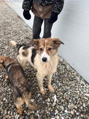 WhatsApp Image 2026 01 30 at 12.32.011