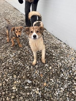 WhatsApp Image 2026 01 30 at 12.32.012