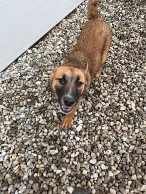 WhatsApp Image 2026 01 30 at 12.35.551