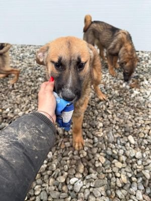 WhatsApp Image 2026 01 30 at 12.35.571