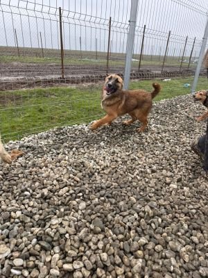 WhatsApp Image 2026 01 30 at 12.35.581