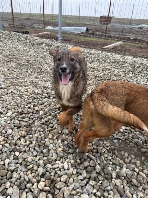 WhatsApp Image 2026 01 30 at 12.38.55