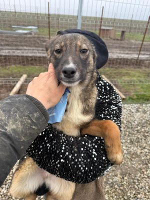 WhatsApp Image 2026 01 30 at 12.38.552