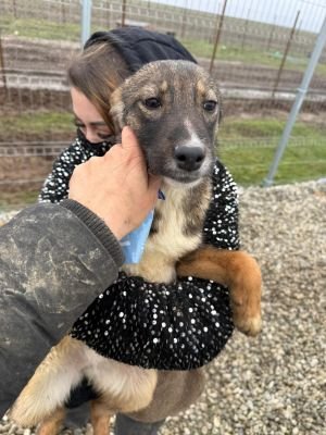 WhatsApp Image 2026 01 30 at 12.38.56