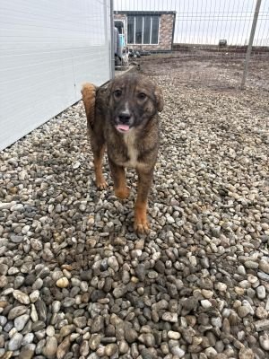 WhatsApp Image 2026 01 30 at 12.38.57