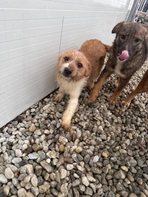 WhatsApp Image 2026 01 30 at 12.44.43