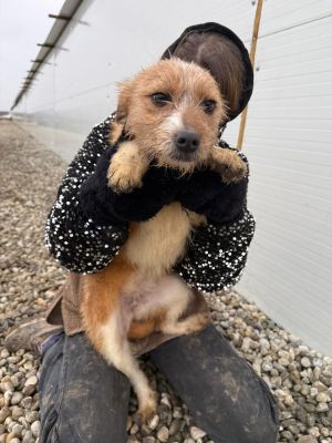 WhatsApp Image 2026 01 30 at 12.44.451