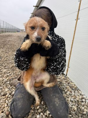 WhatsApp Image 2026 01 30 at 12.44.453