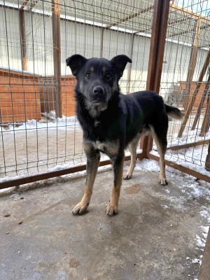 WhatsApp Image 2026 02 03 at 19.43.58