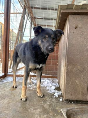 WhatsApp Image 2026 02 03 at 19.43.581