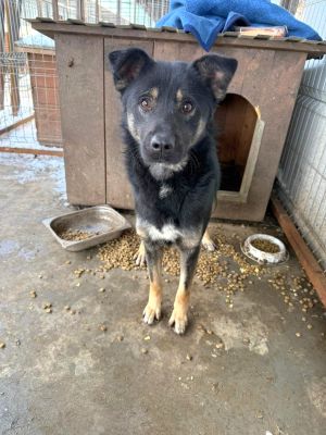 WhatsApp Image 2026 02 03 at 19.43.59 (1)