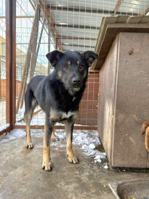 WhatsApp Image 2026 02 03 at 19.44.00