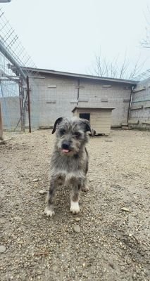 WhatsApp Image 2026 02 13 at 11.37.59