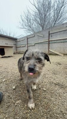 WhatsApp Image 2026 02 13 at 11.38.00