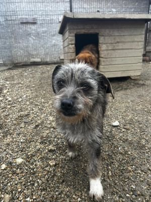 WhatsApp Image 2026 02 13 at 11.38.001