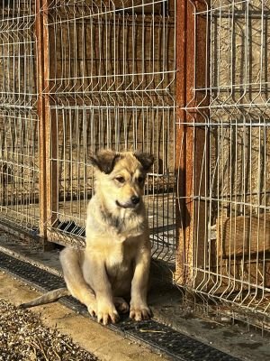 WhatsApp Image 2026 02 16 at 15.08.091