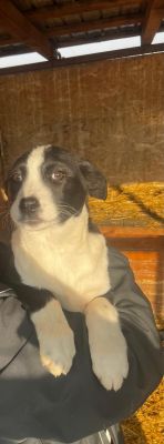 WhatsApp Image 2026 02 16 at 15.11.18.