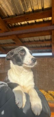 WhatsApp Image 2026 02 16 at 15.11.183