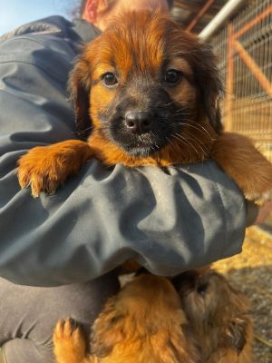 WhatsApp Image 2026 02 16 at 15.25.35