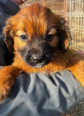 WhatsApp Image 2026 02 16 at 15.25.362