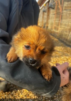 WhatsApp Image 2026 02 16 at 15.27.29