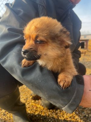 WhatsApp Image 2026 02 16 at 15.27.292