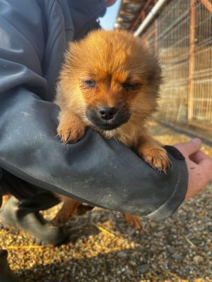 WhatsApp Image 2026 02 16 at 15.27.30