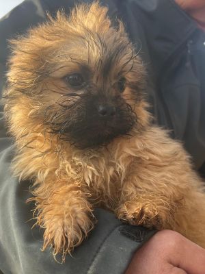 WhatsApp Image 2026 02 16 at 15.31.26 (1)