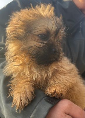 WhatsApp Image 2026 02 16 at 15.31.264