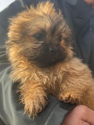 WhatsApp Image 2026 02 16 at 15.31.265